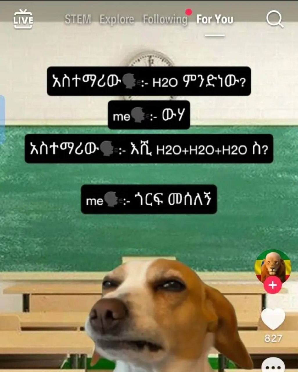 a dog is sitting in front of a blackboard